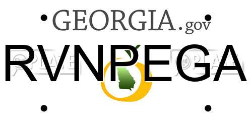 RVNPEGA Georgia License Plate