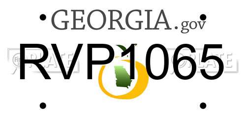 RVP1065 Georgia License Plate