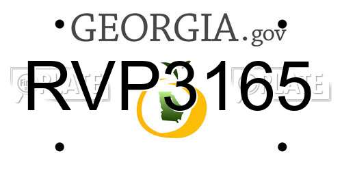 RVP3165 Georgia License Plate