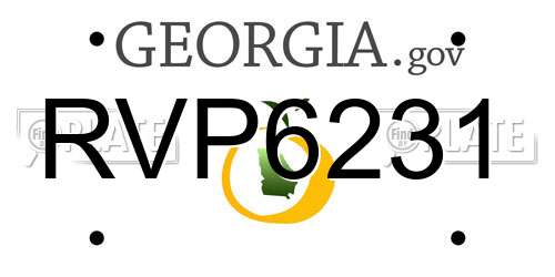 RVP6231 Georgia License Plate