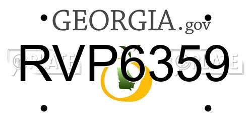 RVP6359 Georgia License Plate