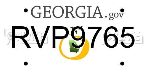 RVP9765 Georgia License Plate