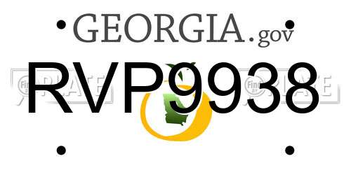 RVP9938 Georgia License Plate