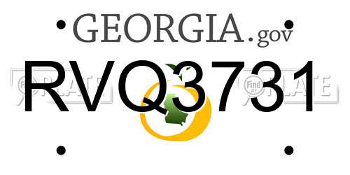RVQ3731 Georgia License Plate