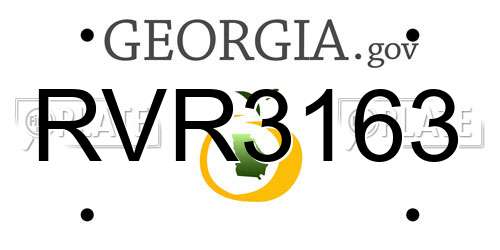 RVR3163 Georgia License Plate