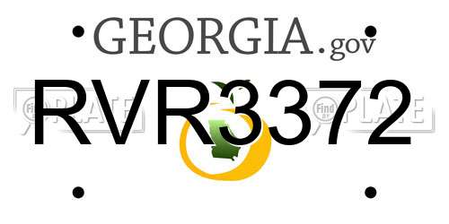 RVR3372 Georgia License Plate