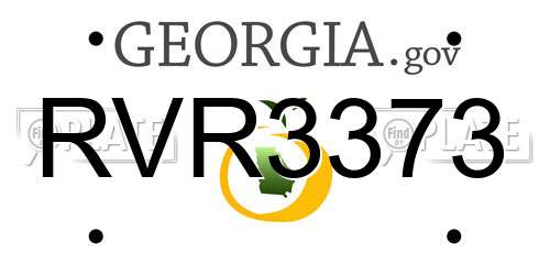 RVR3373 Georgia License Plate