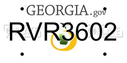 RVR3602 Georgia License Plate