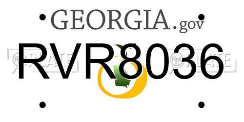 RVR8036 Georgia License Plate