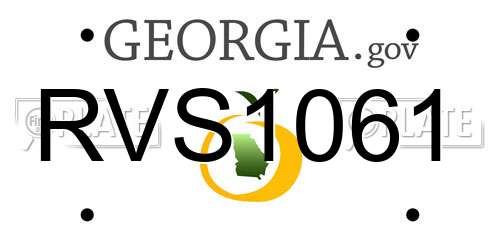 RVS1061 Georgia License Plate