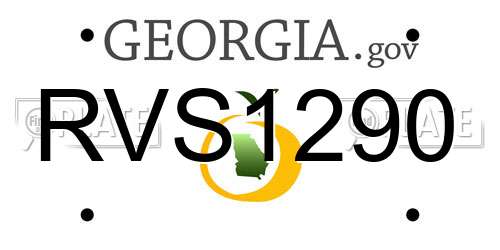RVS1290 Georgia License Plate