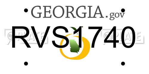 RVS1740 Georgia License Plate