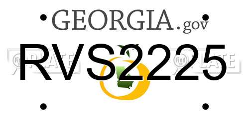 RVS2225 Georgia License Plate