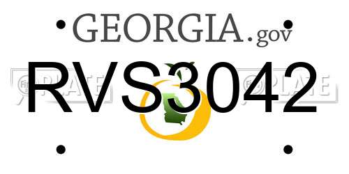 RVS3042 Georgia License Plate