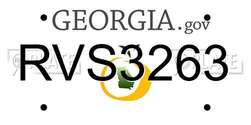 RVS3263 Georgia License Plate