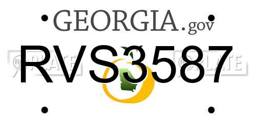 RVS3587 Georgia License Plate