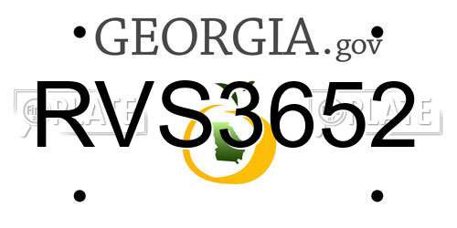RVS3652 Georgia License Plate