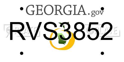 RVS3852 Georgia License Plate