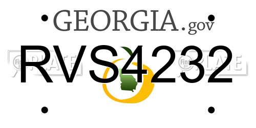RVS4232 Georgia License Plate