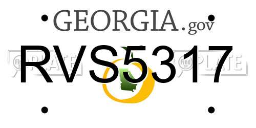 RVS5317 Georgia License Plate