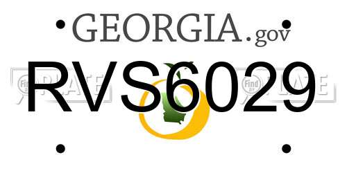 RVS6029 Georgia License Plate
