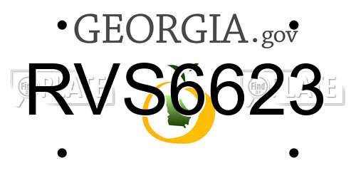 RVS6623 Georgia License Plate