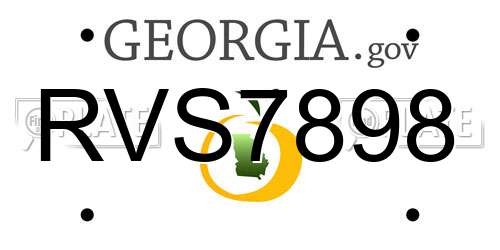 RVS7898 Georgia License Plate