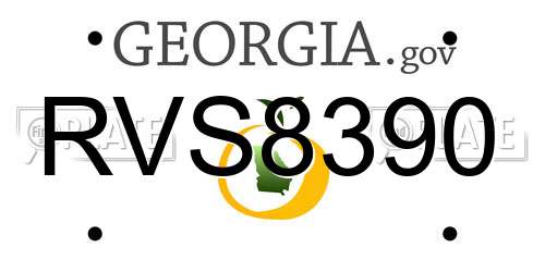 RVS8390 Georgia License Plate
