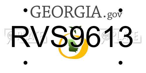 RVS9613 Georgia License Plate