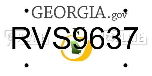 RVS9637 Georgia License Plate