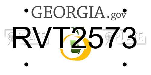 RVT2573 Georgia License Plate