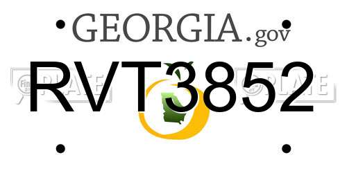 RVT3852 Georgia License Plate