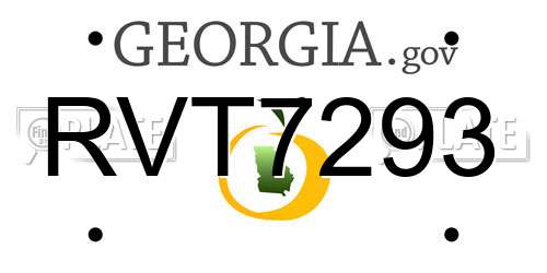 RVT7293 Georgia License Plate