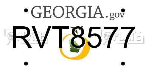 RVT8577 Georgia License Plate