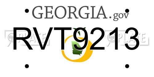 RVT9213 Georgia License Plate