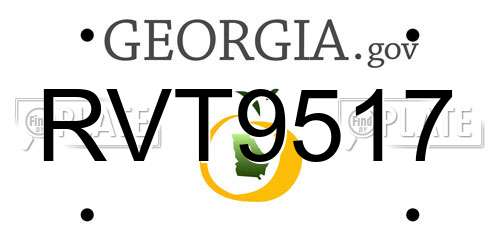 RVT9517 Georgia License Plate