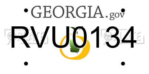 RVU0134 Georgia License Plate