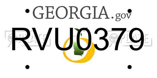 RVU0379 Georgia License Plate
