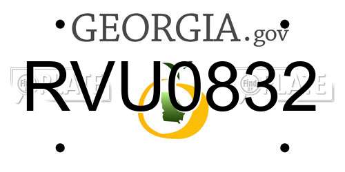 RVU0832 Georgia License Plate
