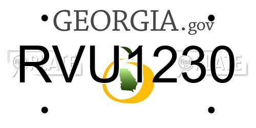 RVU1230 Georgia License Plate
