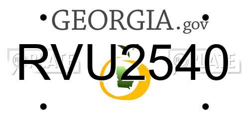 RVU2540 Georgia License Plate