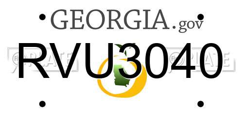 RVU3040 Georgia License Plate