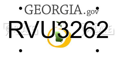 RVU3262 Georgia License Plate