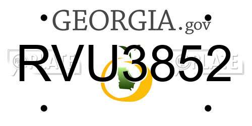 RVU3852 Georgia License Plate