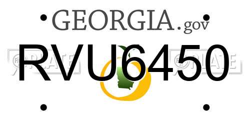 RVU6450 Georgia License Plate