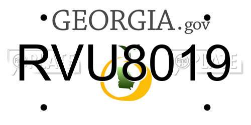 RVU8019 Georgia License Plate