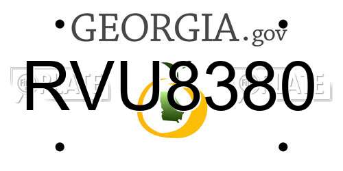 RVU8380 Georgia License Plate