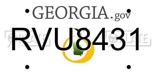 RVU8431 Georgia License Plate