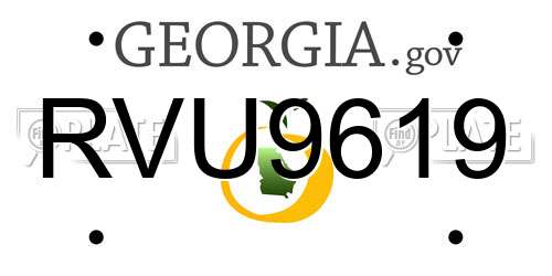 RVU9619 Georgia License Plate