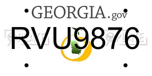 RVU9876 Georgia License Plate